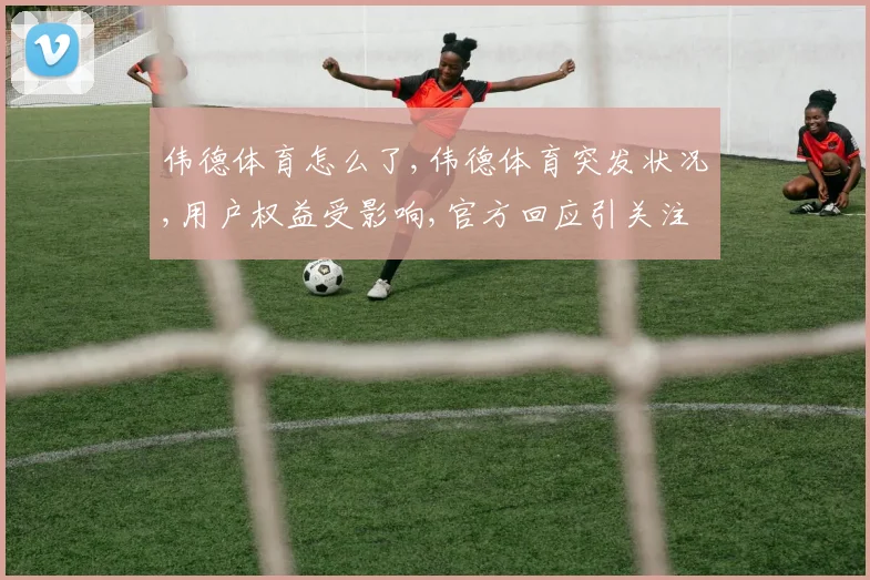 伟德体育怎么了,伟德体育突发状况,用户权益受影响,官方回应引关注